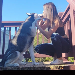 Meet your Posher, Haley